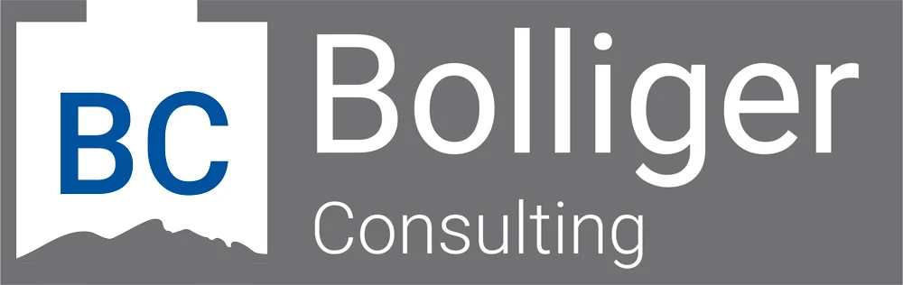 Bolliger Consulting
